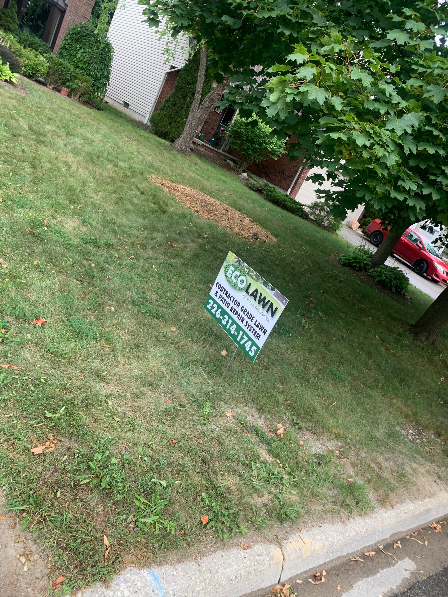 Front Lawn After Using the Ecolawn Aerator
