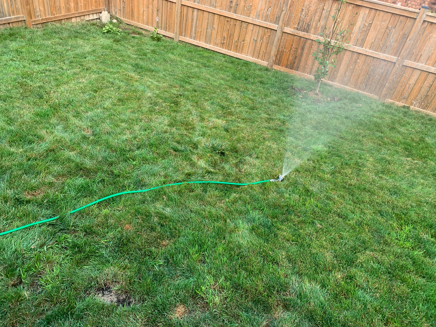 EcoLawn Aerator Inc. Push Core Lawn Aerator for All Lawn Types