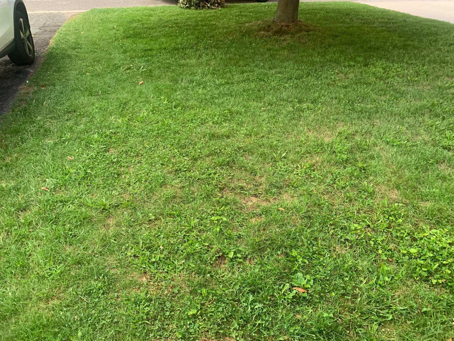 EcoLawn Aerator Inc. Push Core Lawn Aerator for All Lawn Types